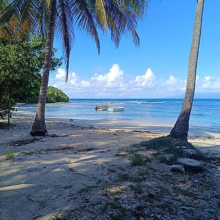 T1 Bis A Proximite De La Plage Le Gosier  Buitenkant foto