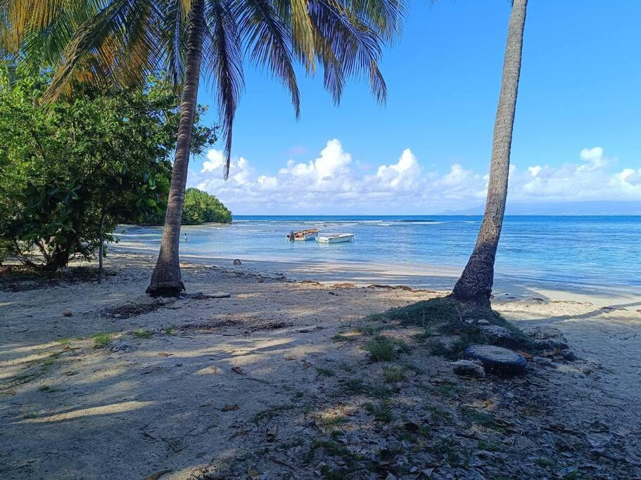 T1 Bis A Proximite De La Plage Le Gosier  Buitenkant foto